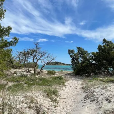 a path through the sand on a beach with trees at Villa Bianca in Zonza