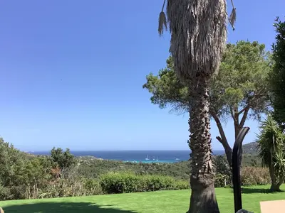 a palm tree with the ocean in the background at Villa AZURA, vue panoramique et proche mer à Santa Giulia, piscine chauffée in Porto-Vecchio
