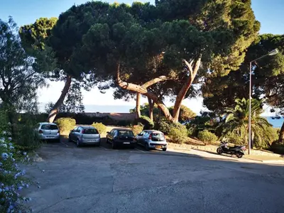 a group of cars parked in a parking lot under a large tree at Appartement Ajaccio Sanguinaires in Ajaccio