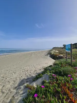 a beach with a sign and flowers on it at Pinea Mare in Poggio-Mezzana