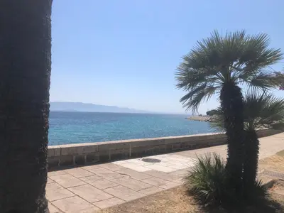 a palm tree sitting next to a body of water at Ajaccio appartement 4 couchages, climatisé a 150m de la plage route des sanguinaires, parking privé in Ajaccio