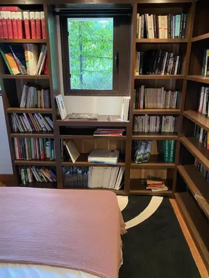 a bedroom with book shelves filled with books at Villa Griseor in Porto-Vecchio