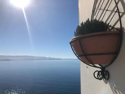 a plant in a pot on the side of a building at AjaccioPanoramicView in Ajaccio