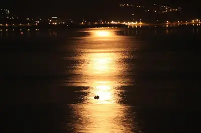 a duck in the water at night at AjaccioPanoramicView in Ajaccio