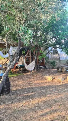 a hammock hanging from a tree in a yard at Gîte atypique Le Pod au coeur du maquis in Carbuccia