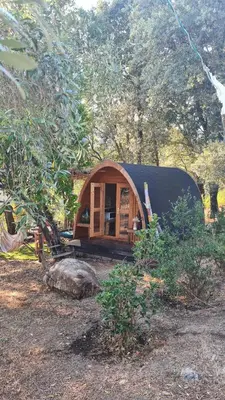 a small cabin with a black roof in a forest at Gîte atypique Le Pod au coeur du maquis in Carbuccia
