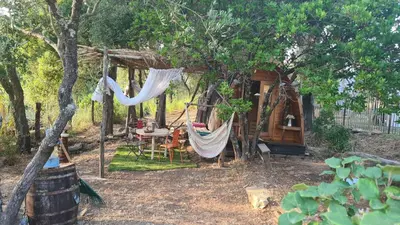 a hammock hanging from a tree in a garden at Gîte atypique Le Pod au coeur du maquis in Carbuccia