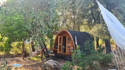 a yurt in the middle of a forest at Gîte atypique Le Pod au coeur du maquis in Carbuccia
