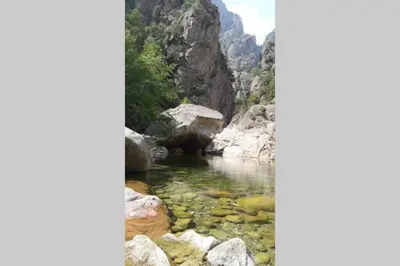 a river in a canyon with rocks in the water at Appartement les pieds dans l'eau 300 m plage - 2 piscines in Linguizzetta