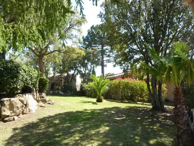 a yard with trees and bushes and a house at Villa Pinarello climatisée avec piscine chauffée in Sainte-Lucie de Porto-Vecchio