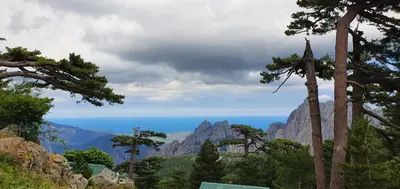 a view of the ocean from a mountain with trees at Villa Pinarello climatisée avec piscine chauffée in Sainte-Lucie de Porto-Vecchio