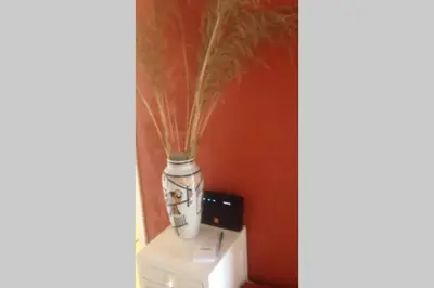 a vase with grass in it sitting on top of a microwave at T2 Sanguinaires calme et cosy, entre mer et maquis in Ajaccio
