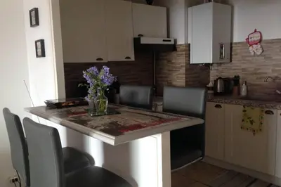 a kitchen with a table with a vase of flowers on it at T2 Sanguinaires calme et cosy, entre mer et maquis in Ajaccio