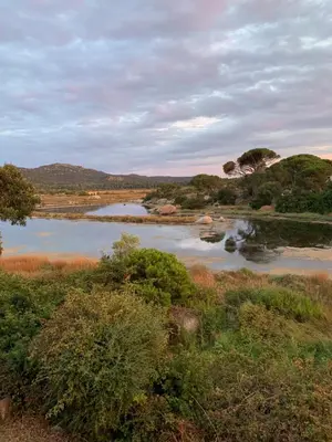 a river in the middle of a field at Appartement F2 Porto Vecchio vue sur les salines in Porto-Vecchio