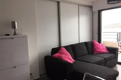 a living room with a black couch with pink pillows at Appartement T2 terrasse vue mer à 180 in Propriano