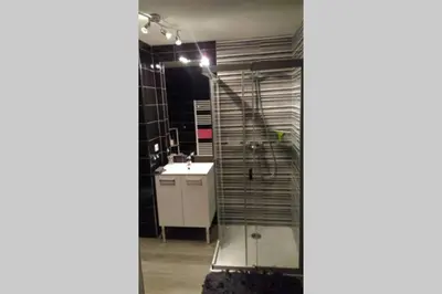a bathroom with a shower and a sink at Appartement T2 terrasse vue mer à 180 in Propriano