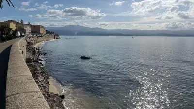 a view of a body of water next to a beach at Marina'home in Ajaccio