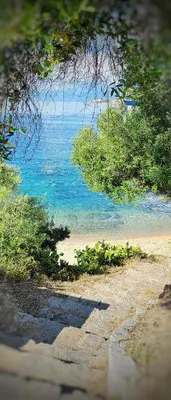 a view of a beach with the water and trees at Appartement entier, climatisé, vue mer in Ajaccio