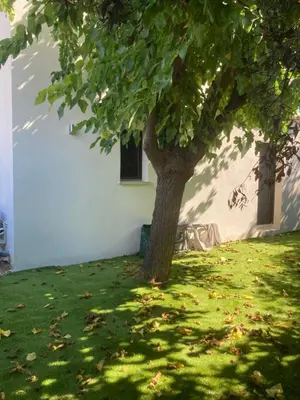 a tree in the shade of a white building at Maison pieds dans l eau avec piscine et clim in Linguizzetta