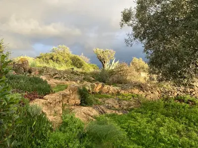 a rocky hill with trees and plants on it at Casa Turrigiani in Sagone