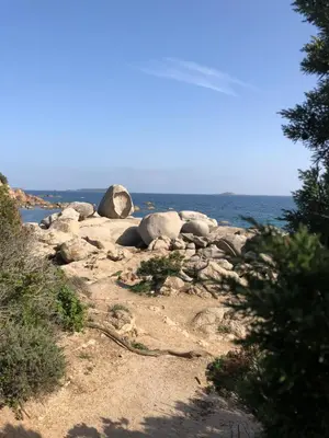 a group of rocks on a hill near the ocean at Palombaggia in Porto-Vecchio