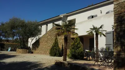 a building with two palm trees in front of it at U Muzzelo in Oletta