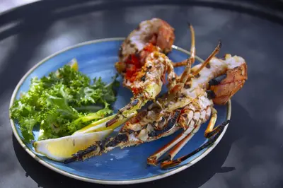 a blue plate of food with lobster and broccoli at Le Golfe in Porto Pollo
