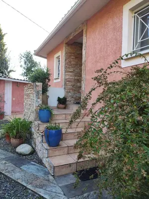 a set of stairs in front of a house with potted plants at Villa BRIMI in Ghisonaccia