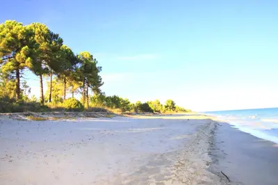 a sandy beach with trees and the ocean at Studio 2 ou 3 people, 150 m beach, near Ghisonaccia in Ghisonaccia