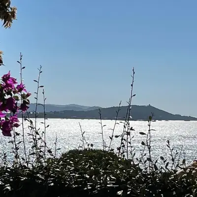 Villa Bougainville