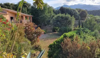 a house on a hill with bushes and trees at Le Clos des Milans in Rapale