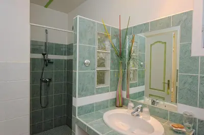 a bathroom with a sink and a shower at Résidence Canava in Bonifacio