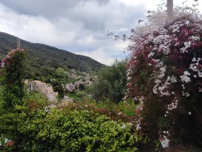 a bunch of flowers on a hill with a town at A Casa Vadiiolina - Chambres d'hôtes d'exception in Sollacaro