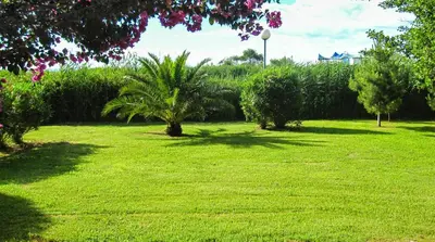 a park with green grass and palm trees at Studio 2 people - 150 m from de sea - Ghisonaccia in Ghisonaccia