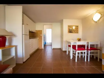 a palm tree in a yard next to a building at Marina Corsa Res 4 rooms apartment 2 bathrooms 150 m from the sea Ghisonaccia in Ghisonaccia