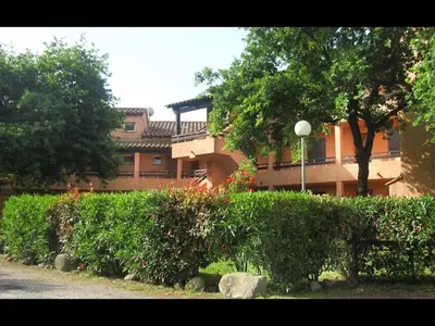 a green field with palm trees and bushes at Marina Corsa Res 4 rooms apartment 2 bathrooms 150 m from the sea Ghisonaccia in Ghisonaccia