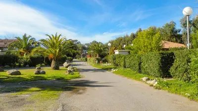 a sandy beach with trees and the ocean at Marina Corsa Residence Three rooms apartment 150 m from the beach - Ghisonaccia in Ghisonaccia