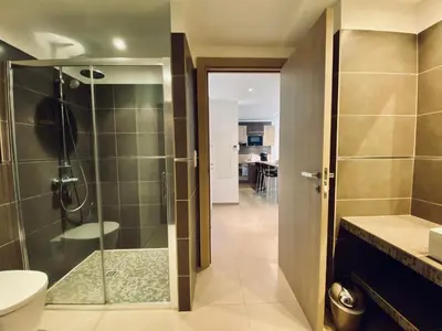 a bathroom with a shower and a toilet and a sink at Rena Bianca tout confort proche plage et centre ville in Propriano