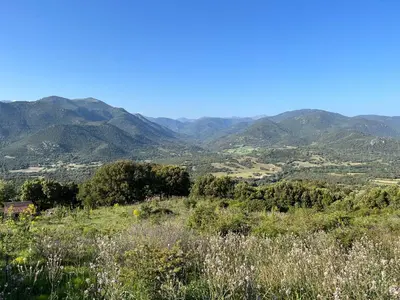 a view of a field with mountains in the background at Tradition Corse & Modernité Ì Caseddi dì Barabè Appartement A Cantina in Granace