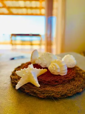 a piece of bread with seashells on top of it at Casamarina2a Maisons bord de mer in Ghisonaccia