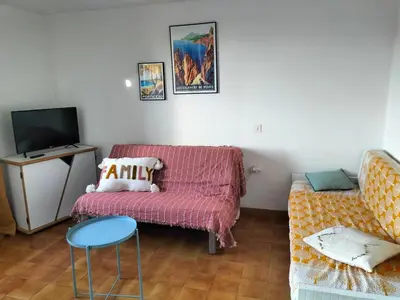 a living room with a couch and a tv at T2 vue mer à Porticcio, proche aéroport Ajaccio in Porticcio