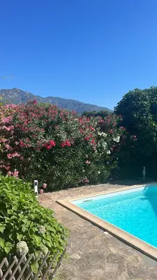 a swimming pool with pink flowers next to a hedge at Villa privée dans un cadre verdoyant , piscine et grand jardin in Porto-Vecchio