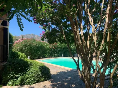 a swimming pool with a tree next to a house at Villa privée dans un cadre verdoyant , piscine et grand jardin in Porto-Vecchio