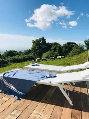 a picnic table on a deck with animals in the background at Villa Poggio in Santa-Maria-Poggio
