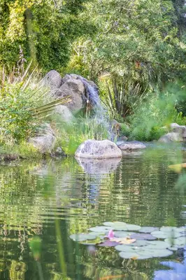a pond with a waterfall in a garden at Domain U Tempu Persu Sleeps 12 with Park in Porticcio