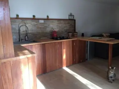 a kitchen with a counter and a cat sitting next to it at Petite maison en pierre in Saint-Florent
