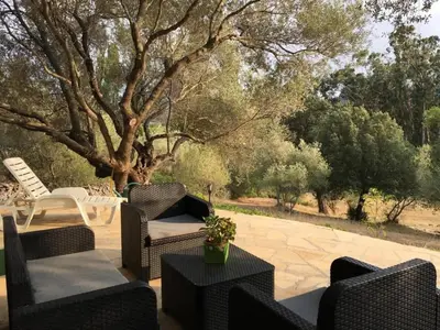 a patio with wicker chairs and tables and a tree at Petite maison en pierre in Saint-Florent
