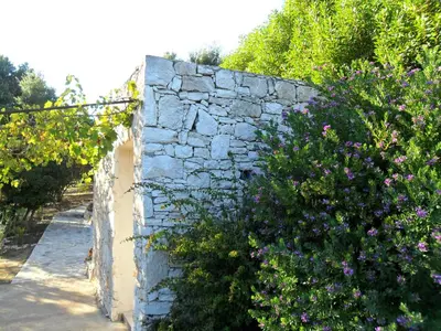 a stone wall with purple flowers and a hedge at Casa Martini in Bonifacio