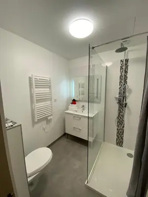 a bathroom with a toilet and a glass shower at Villa A CASA DI FICU à 14kms d'Ajaccio et des plages avec Piscine Jacuzzi Pétanque Sans vis à vis in Peri