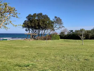a park with trees and the ocean in the background at studio à 100m de la plage et de la piscine in Cervione